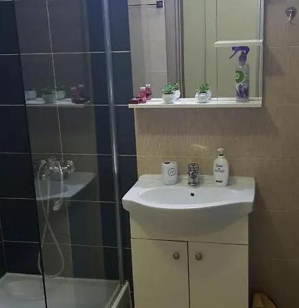 Happy Flowers Apartament Apartment