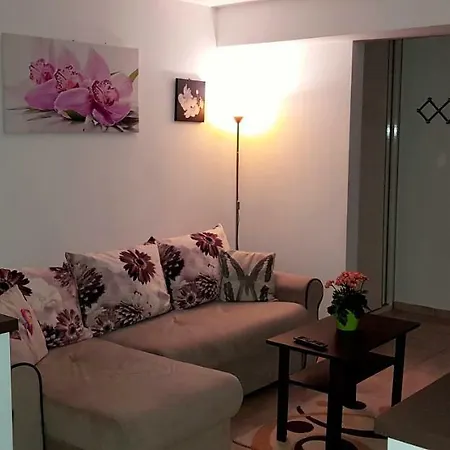 Happy Flowers Apartament *