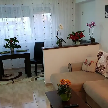 Happy Flowers Apartament Apartment