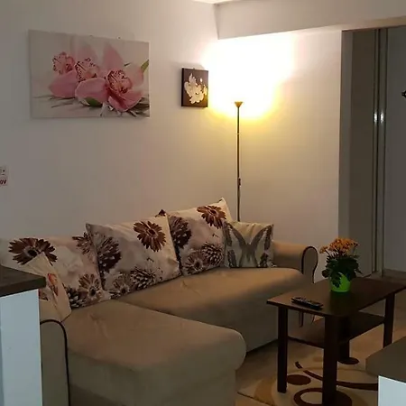 Apartment Happy Flowers Apartament