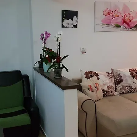 Happy Flowers Apartament Constanta