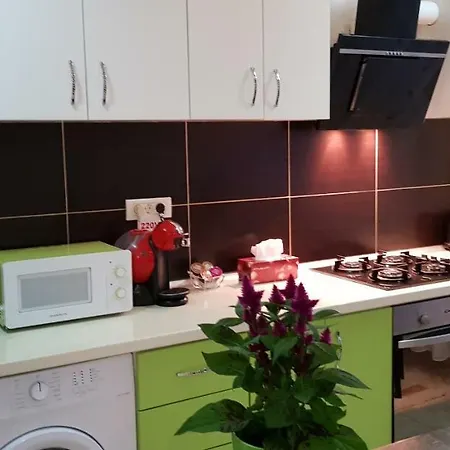Happy Flowers Apartament Apartment Constanta