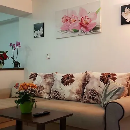 Happy Flowers Apartament Apartment *