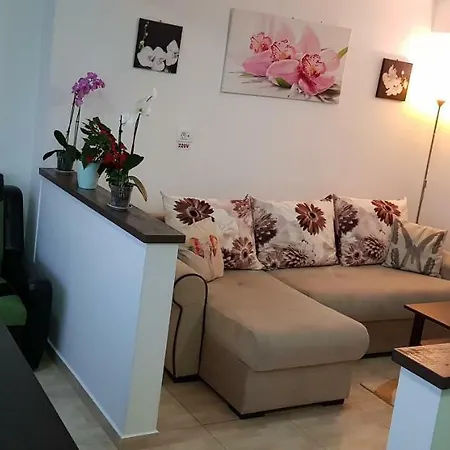 Happy Flowers Apartament Apartment Constanta
