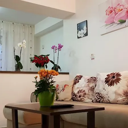 Happy Flowers Apartament *