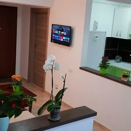 Happy Flowers Apartament Apartment *