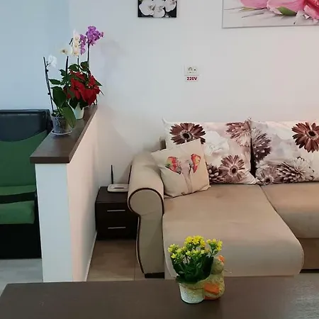 Happy Flowers Apartament Constanta
