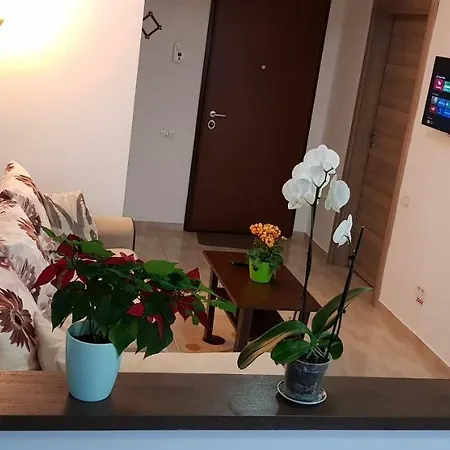 Happy Flowers Apartament Apartment Constanta